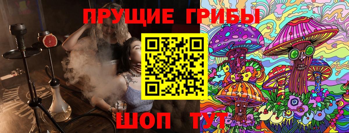 Кызыл  Псилоцибиновые грибы MAGIC MUSHROOMS  Вход с VPN 